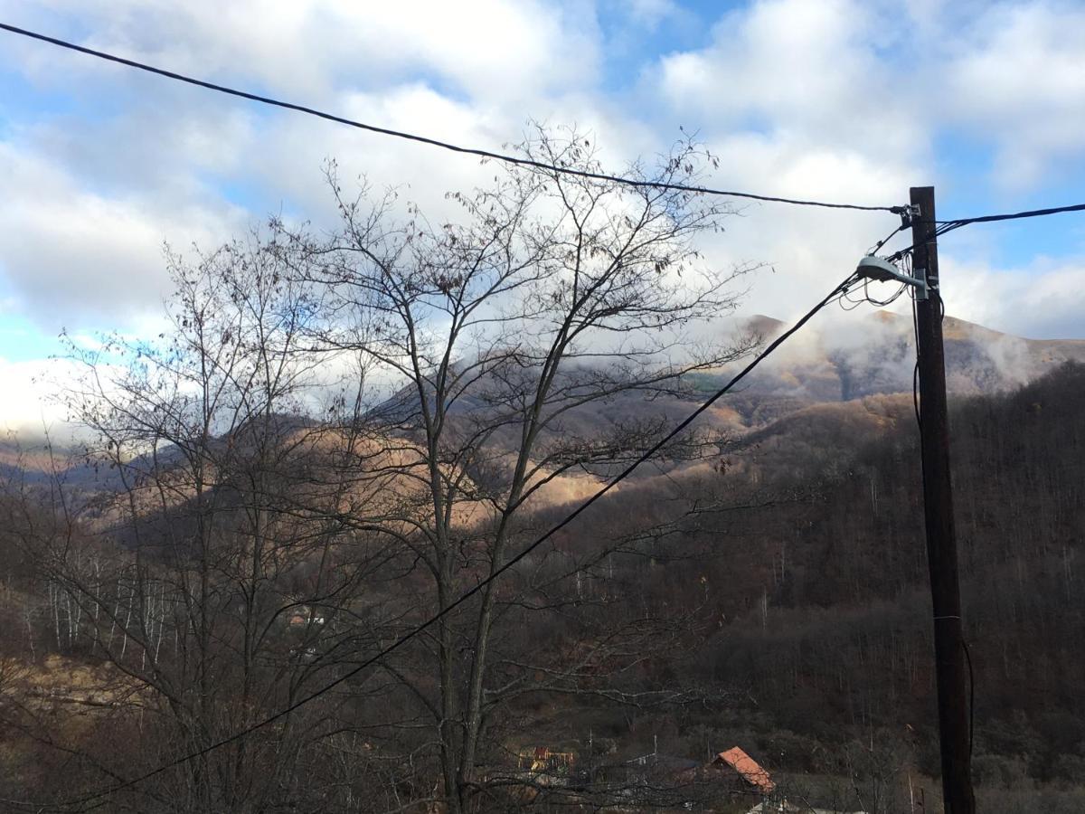 Kuca Za Odmor ,,Balkan” Crni Vrh 外观 照片