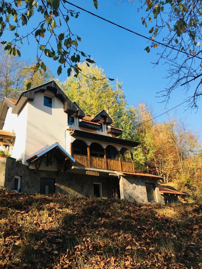 Kuca Za Odmor ,,Balkan” Crni Vrh 外观 照片